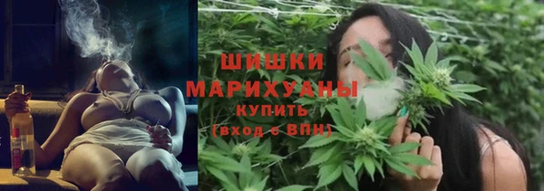 гашик Аркадак