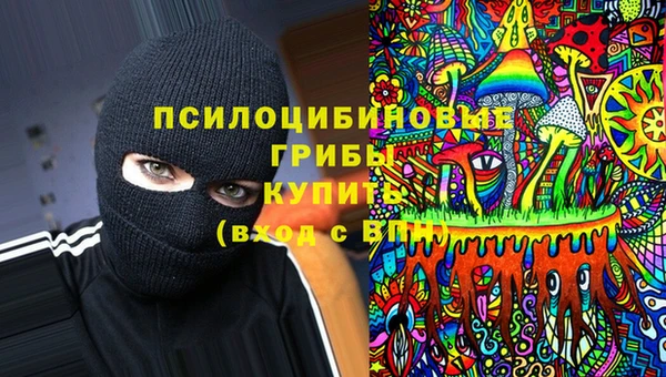 PSILOCYBIN Балабаново