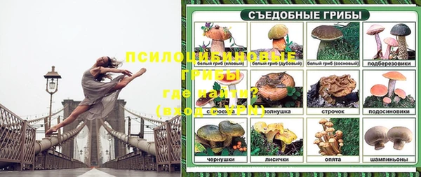 PSILOCYBIN Балабаново