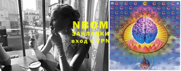 PSILOCYBIN Балабаново