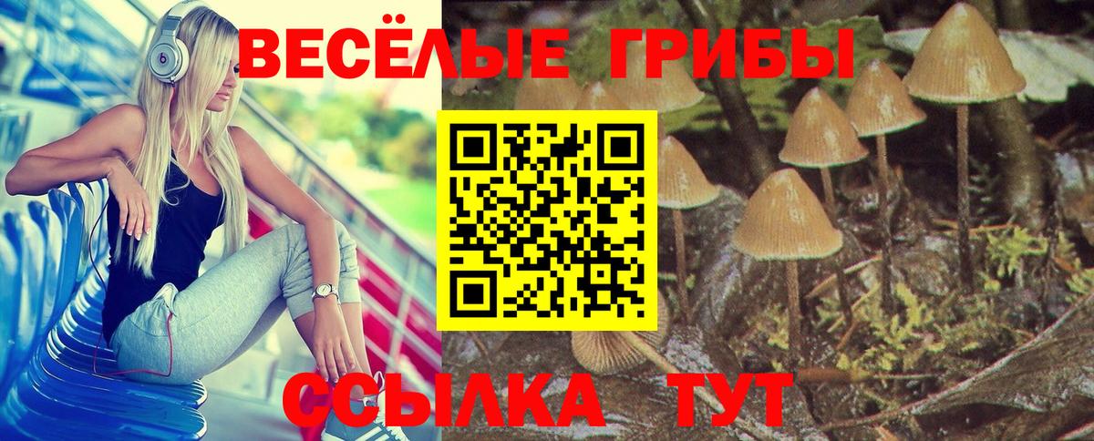 Галлюциногенные грибы Cubensis Тверь